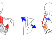 posture epaules feature