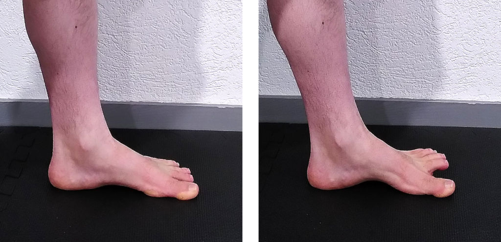 renforcer les muscles des pieds - fléchisseurs cours du gros orteil