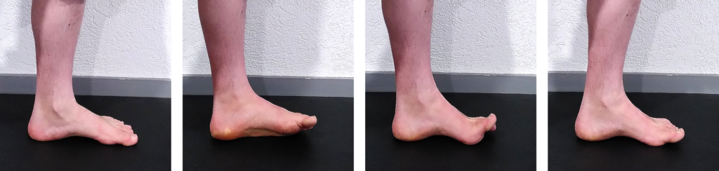 renforcer les muscles des pieds - voute plantaire pour débutants