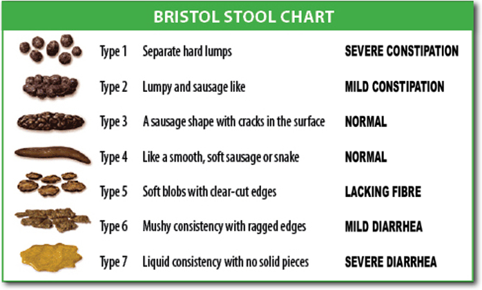 L'échelle de Bristol pour les selles