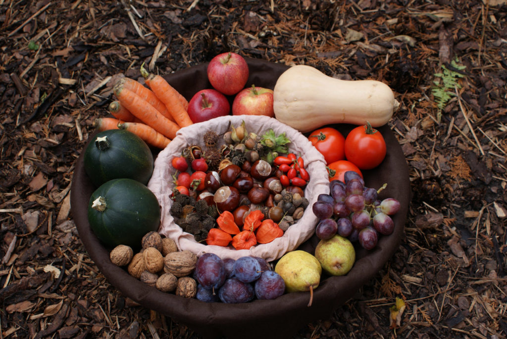 Fruits et légumes : un apport en fibres pour prévenir la constipation